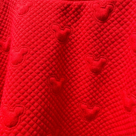 Lauren Conrad Disney skirt size large - Picture 2 of 4